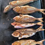 Marina Barbat na Rabu