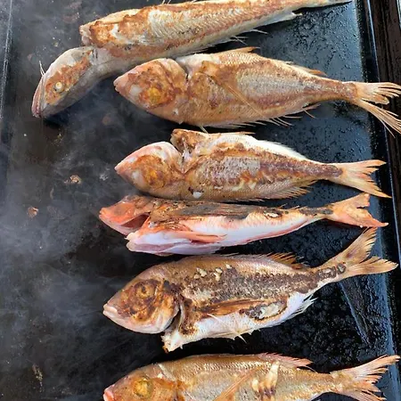 Marina Barbat na Rabu