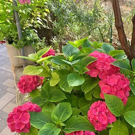 Marina Apartment Barbat na Rabu