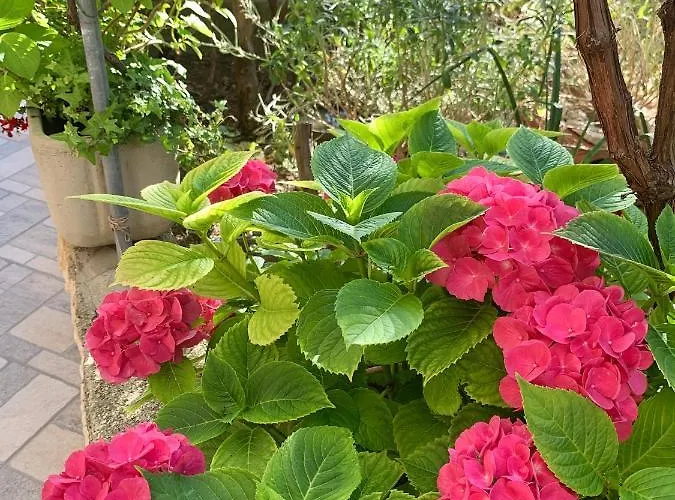 Marina Apartman Barbat na Rabu